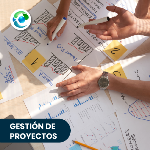 Proyectos
